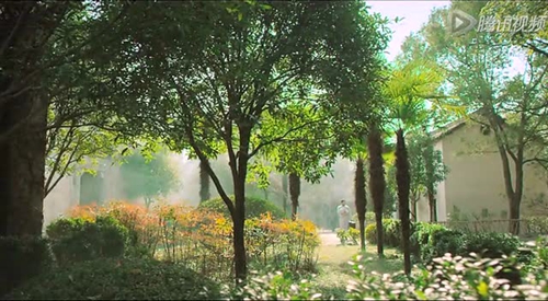 畫花