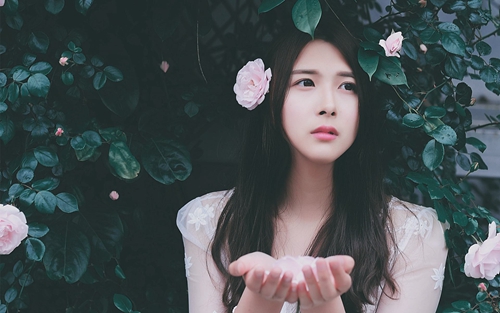 畫花