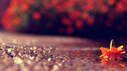 Lets Dance