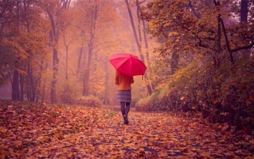 相擁醉紅塵