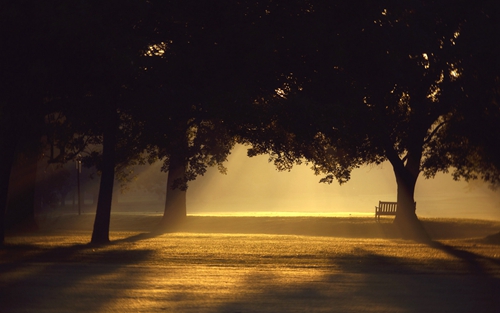 Lonely