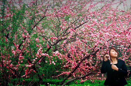 十送紅軍廣場舞下載舞曲