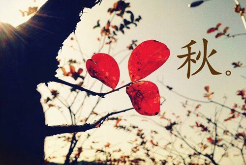 用花球跳廣場舞的視頻教程