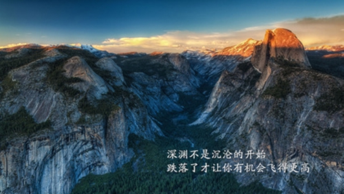 武漢汪汪