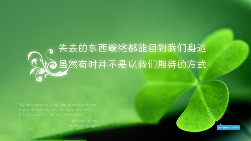 馨梅王梅