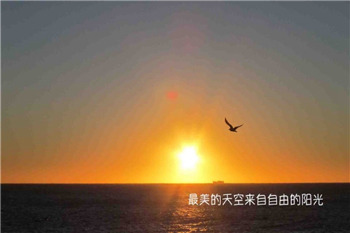 廣西靈山曹曹