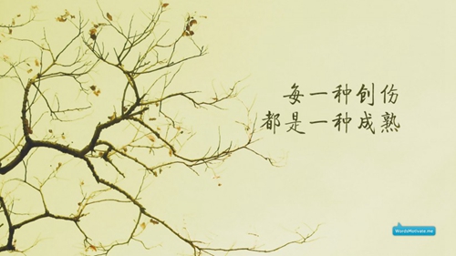蓮花老師的廣場舞有緣再相見教程
