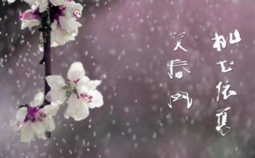 燕子廣場舞火熱的愛教學