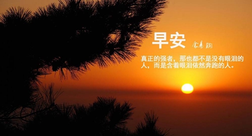 應子廣場舞心之尋新編教學