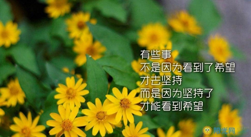 茉莉廣場糖豆廣場舞全家福