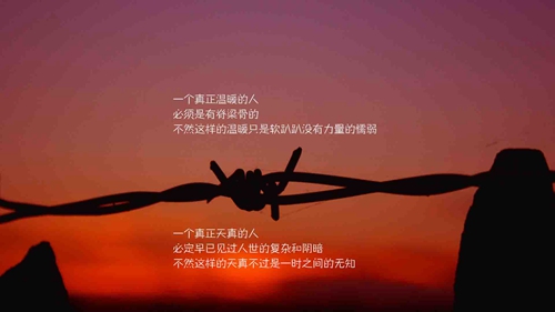 李超廣場舞山丹丹開花教程