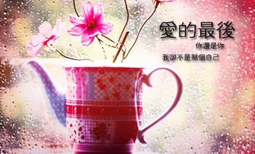 小小熊廣場舞教學