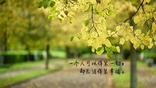 楊麗萍男孩和女孩廣場舞