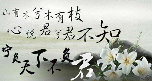 鄒平星月