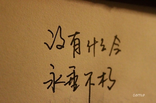 新蘭