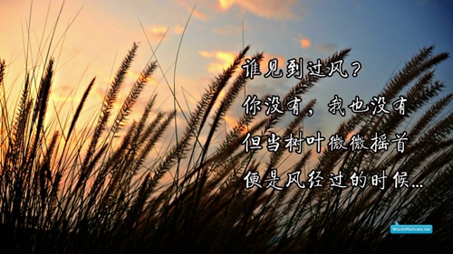燕子廣場舞中國大舞臺花球舞