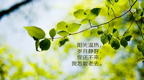 廣場舞八步教學分解