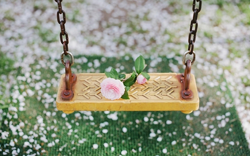 水仙花