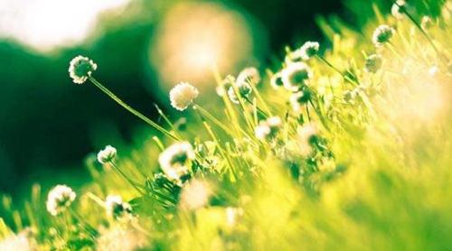 金秋廣場舞第一套健身操（追風廣場舞教程）