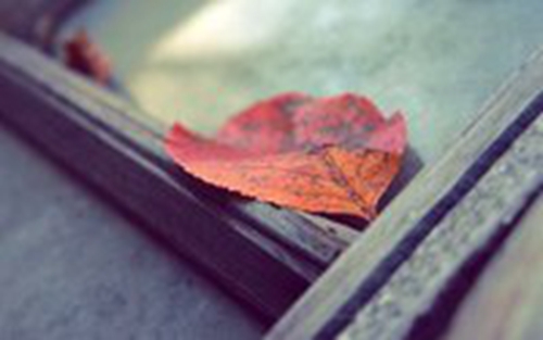 戀戀紅塵 歌詞