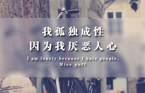 相思花開一朵朵歌曲mp3（屠洪剛《你》歌曲mp3）