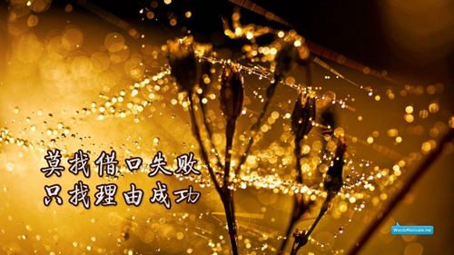 燕子廣場舞專輯大全