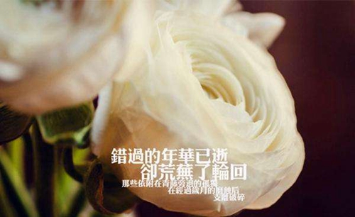 燕妮廣場舞吉祥背面動作分解《淮安燕之夢康巴情廣場舞》