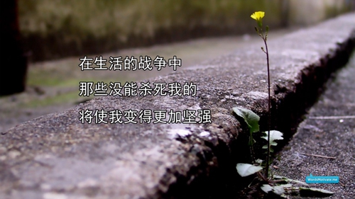 廣場舞怎么跳的穩健一點