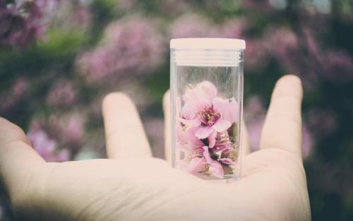 林州芳心廣場舞梨花情柔情