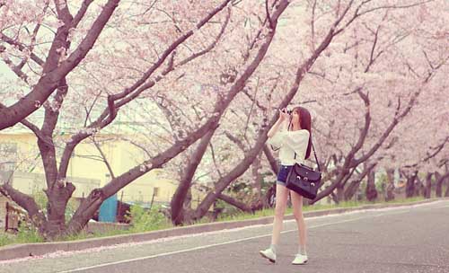 山里紅廣場舞視頻背面分解動作教學