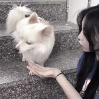 物以類聚的圖片 配圖4