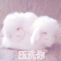 帶y字母扣扣頭像4