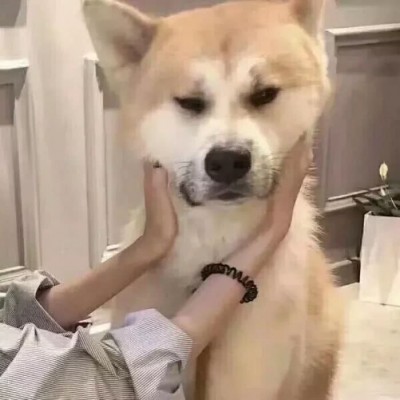 男頭像兄弟頭像動漫7