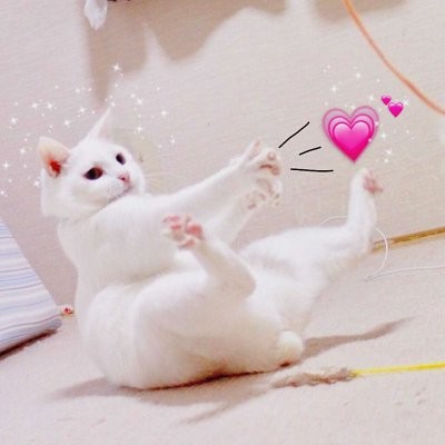 單身狗的頭像女生可愛圖片5