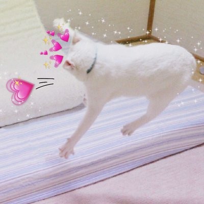 用什么做微信頭像顯得神秘13