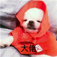無處尋什么意思8